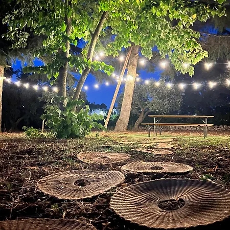 Nevier Trullo بيت للعطل ألبيروبيللو